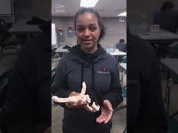 Hands of Gratitude: Cuyahoga Valley Career Center Student Spotlight