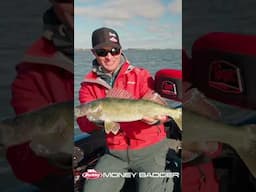 Berkley Money Badger Hooks Another Nice Walleye