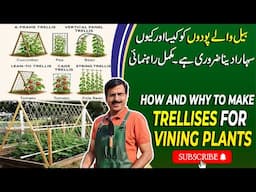 How and why to make "Trellises" for "Vining Plants" | Gardening With Javed Iqbal
