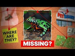 I Drove 1,000 Miles to Find a Frog