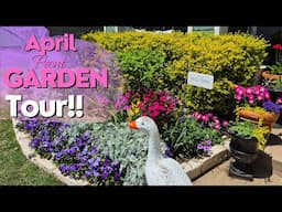 April 2025 Front Garden Tour Full of COLOR & BLOOMS!! #northtexasgarden #springgarden