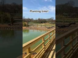 Just Add Plants… #ClaphamWetlands