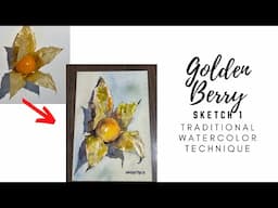 Golden Berry | Sketch 1 | 2025 Ep7