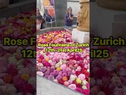 Rose Fountains of Zurich 12th–21st April25