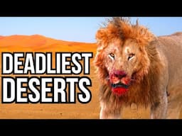 Ranking 7 Of The Most Dangerous Deserts In The World Based On Their Wildlife
