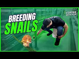 Breeding Freshwater Snails | Aquarium Snail Eggs - Coffee With Flip - Ep. 76 [Aquarium Podcast]
