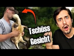 Dumme Menschen VS gefährliche Tiere! Biologe reagiert #3