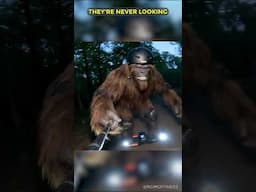 BigFoot VLOG - Night Run