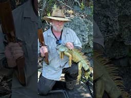 Iguana Hunt in south Florida and Why? With Dave Canterbury