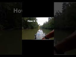 No bass was harmed in the making of this video. #fishing #bassfishing #kayakbassfishing #bassrelease