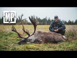 Finland Forest Reindeer | Mark V. Peterson Hunting
