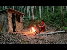 Build a shelter, a wooden house in the wild forest, survive alone through the night