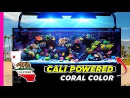West Coast Reefing: Exploring a Fast Track Blueprint That’s Working Out West | 150 Gallon Tank