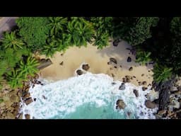 Tropical Beach Bossa Nova Music 2025 with Ocean Waves Sounds