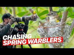 One Day. Two Warblers. Zero Regrets. | Wildlife Photography