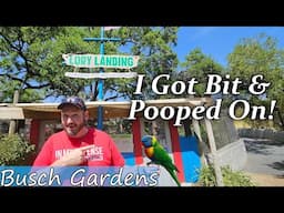 This Bird Bit Me and Pooped on Me at Busch Gardens, Lory Landing