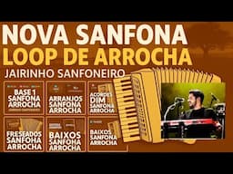 SANFONA LOOP ARROCHA - JAIRINHO SANFONEIRO