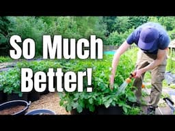 This Will Make My Allotment Life So Much Easier! Vevor Hosepipe Review