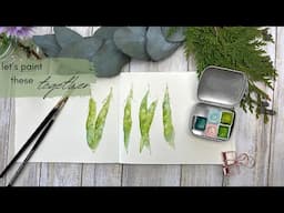 Painting Peas|Botanical Painting for Beginners