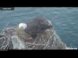 Two Harbors Overlook - Institute for Wildlife Studies | 2024 Highlights