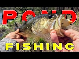 Best Baits For Shore Fishing! (Catching Fish In A New Pond)