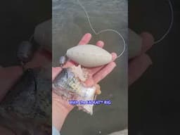Catfish Are Lazy – Bring the Bait to Them (How I Catch More)