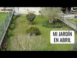 EVOLUCIÓN DEL JARDÍN EN PRIMAVERA: a tope con las primeras flores | #en20metros