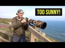 How I Photograph Seabirds in Bright Sun (Canon R6 & EF 500mm F/4 Lens)