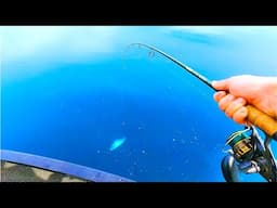 EPIC Clearwater Jigging on Lake Michigan!
