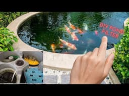 DIY fish pond filter EASY and Cheap