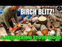 BIRCH BLITZ & RESTOCKING MY HEATING WOOD #FIREWOOD