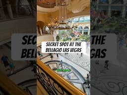 Different view of the Bellagio conservatory #lasvegas saw this in @lydiainvegas video!