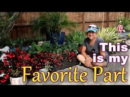 Planting & Potting All Day in My Carolina Garden | Fresh Color Everywhere!
