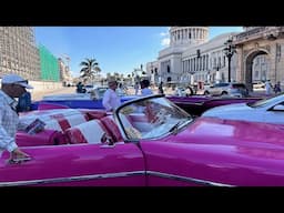 Sailing CUBA!  |  Ep137