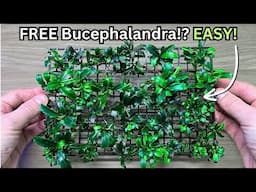 How To Get ENDLESS Bucephalandra Plants For FREE? Buce plant propagation step by step!