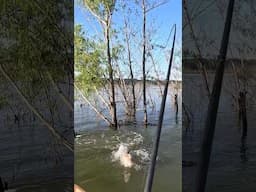 Find the jungle...find the good ones!  #fishing #bassfishing #kayakfish kay