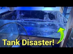 What Do You Do When Things REALLY Go Wrong? The Prestige Reef Dork Show Ep 85