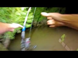 The Big One, Mississippi River Catfish Fishing