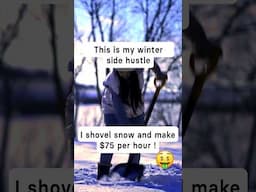 $75 vs $7,500 Side Hustle (Make Money Online 2025)