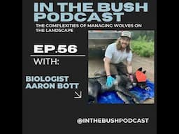 Wolf management, behavior, and controversy with Biologist Aaron Bott