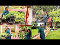 അവസാനം  ഈ വർഷം വിൽക്കുവാൻ തീരുമാനിച്ചു കുറച്ചു പുതിയ മാറ്റങ്ങൾ വരുത്തി  പുതിയ വിശേഷങ്ങൾ || VLOG