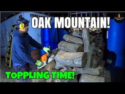 OAK MOUNTAIN! #FIREWOOD