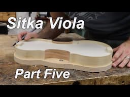 Sitka Viola Part 5: Where we Are