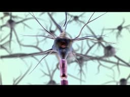 10 Interesting Scientific Discoveries for June of 2025