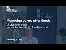 Managing Calves After Floods