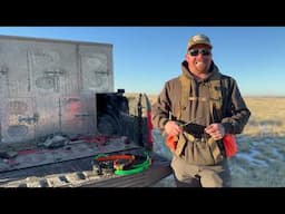 Come on a Chukar Hunt with Us | DOGTRA Pathfinder 2 | Upland Hunting