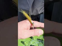 The clouser minnow catches everything! #fishing #fail #newyork