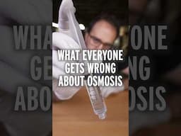 most textbooks are mostly wrong about osmosis