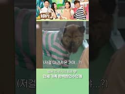 적응력 갑ㅋㅋㅋ 만세의 본격 새 집 탐색! #TV동물농장