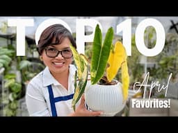 Top 10 Plants I Couldn’t Stop Staring At | April Favorites